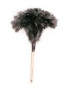 feather duster